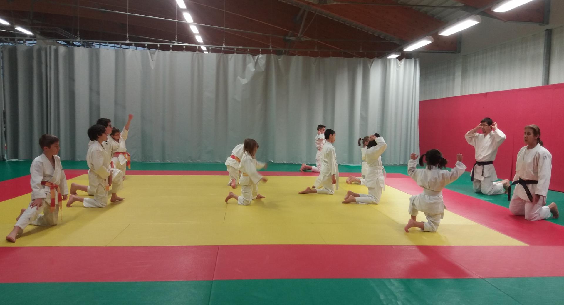 Les enfants s'échauffent! Wa-Jutsu Villeneuvois 2 février 2019