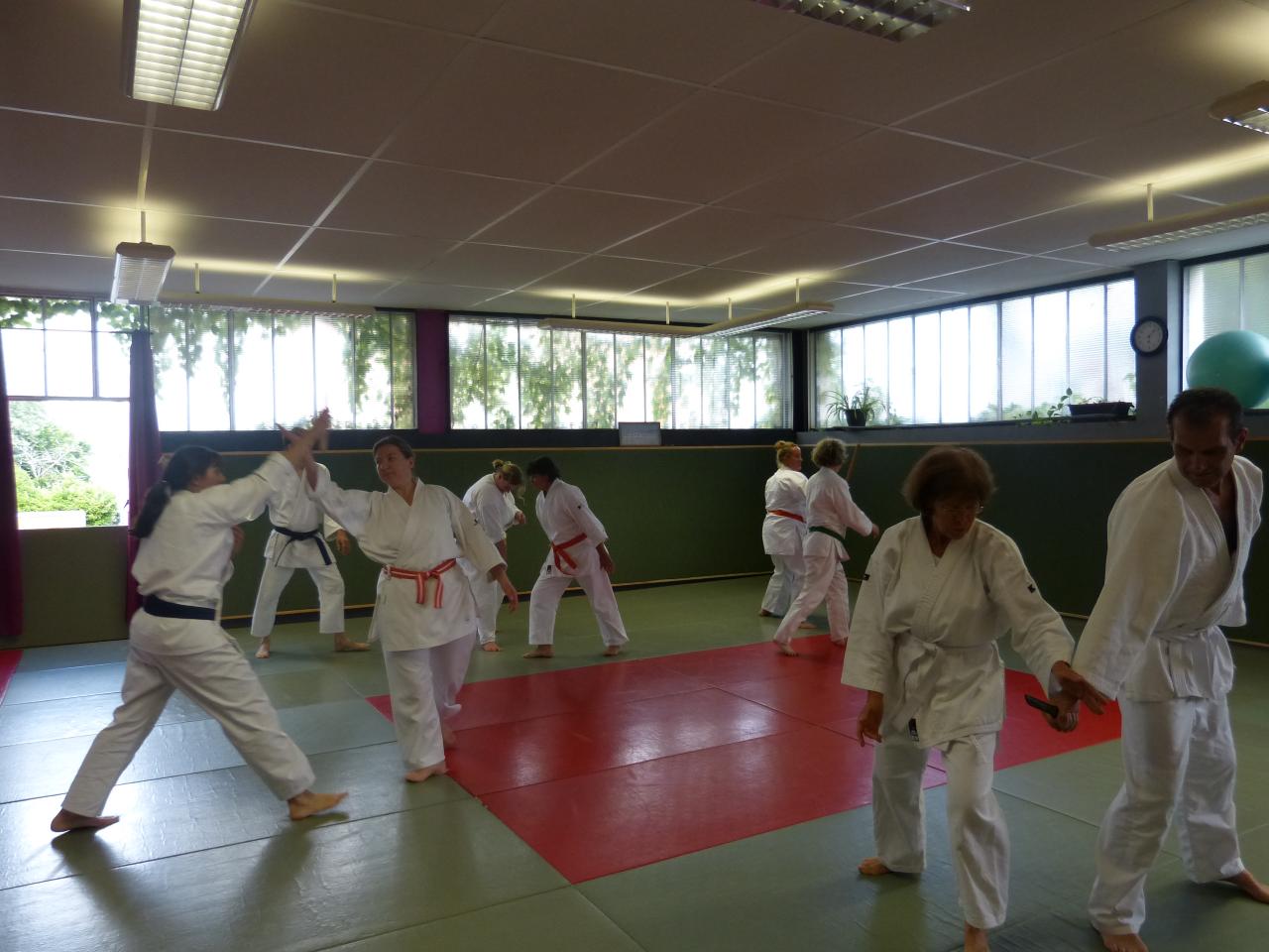 Stage Dojo Wa-Jutsu Agenais 20 mai 2017