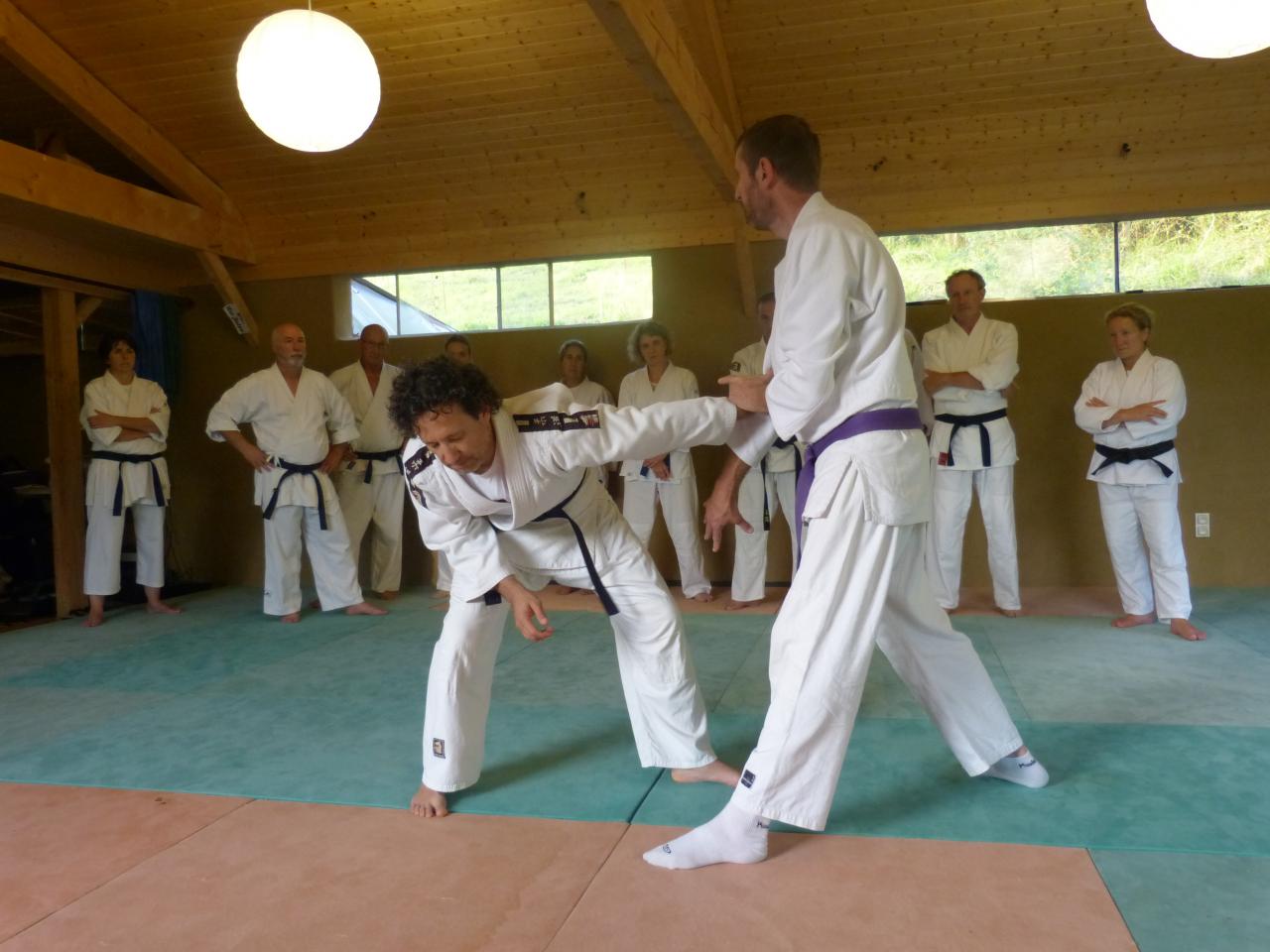 Wa-Jutsu Villeneuvois Stage gradés juillet 2017 Ste Colombe de Villeneuve