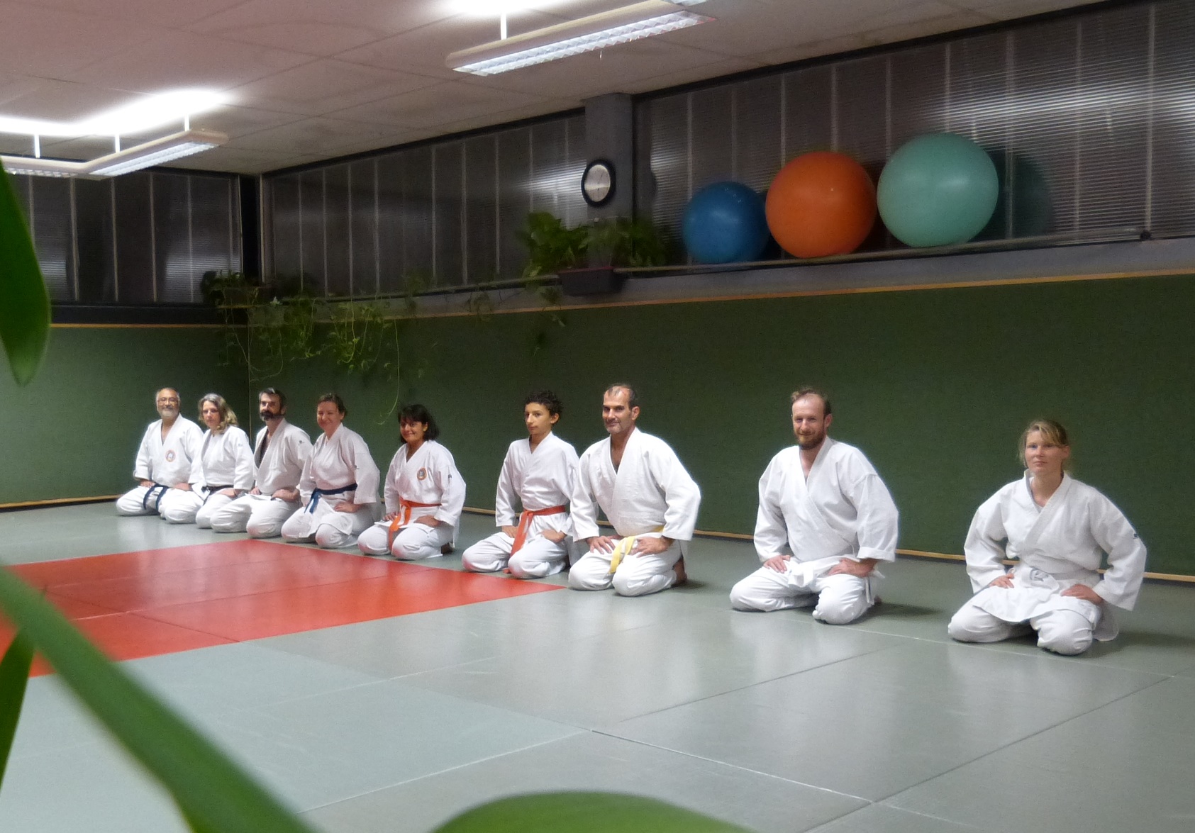 Inter-club Agen-Villeneuve Dojo Wa-Jutsu Agenais 8 décembre 2018