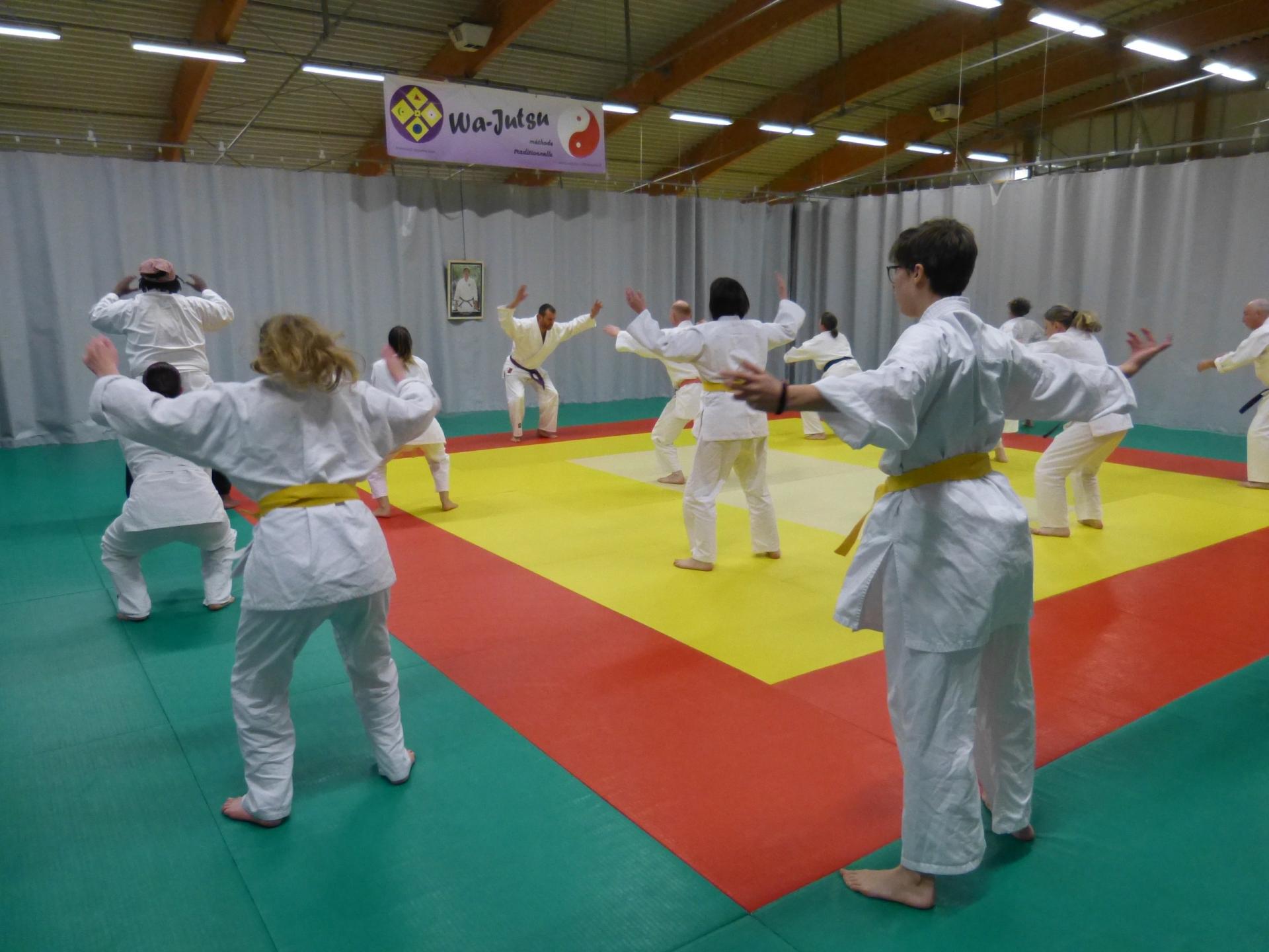 Cours commun Villeneuve-Agen, 13 février 2019 dojo Wa-Jutsu Villeneuvois