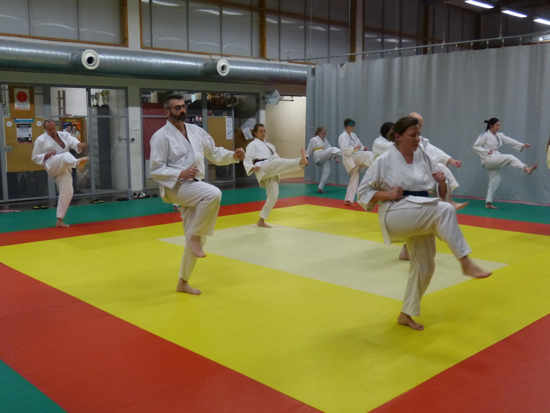 cours commun Villeneuve-Agen, 13 février 2019, dojo Wa-Jutsu Villeneuvois