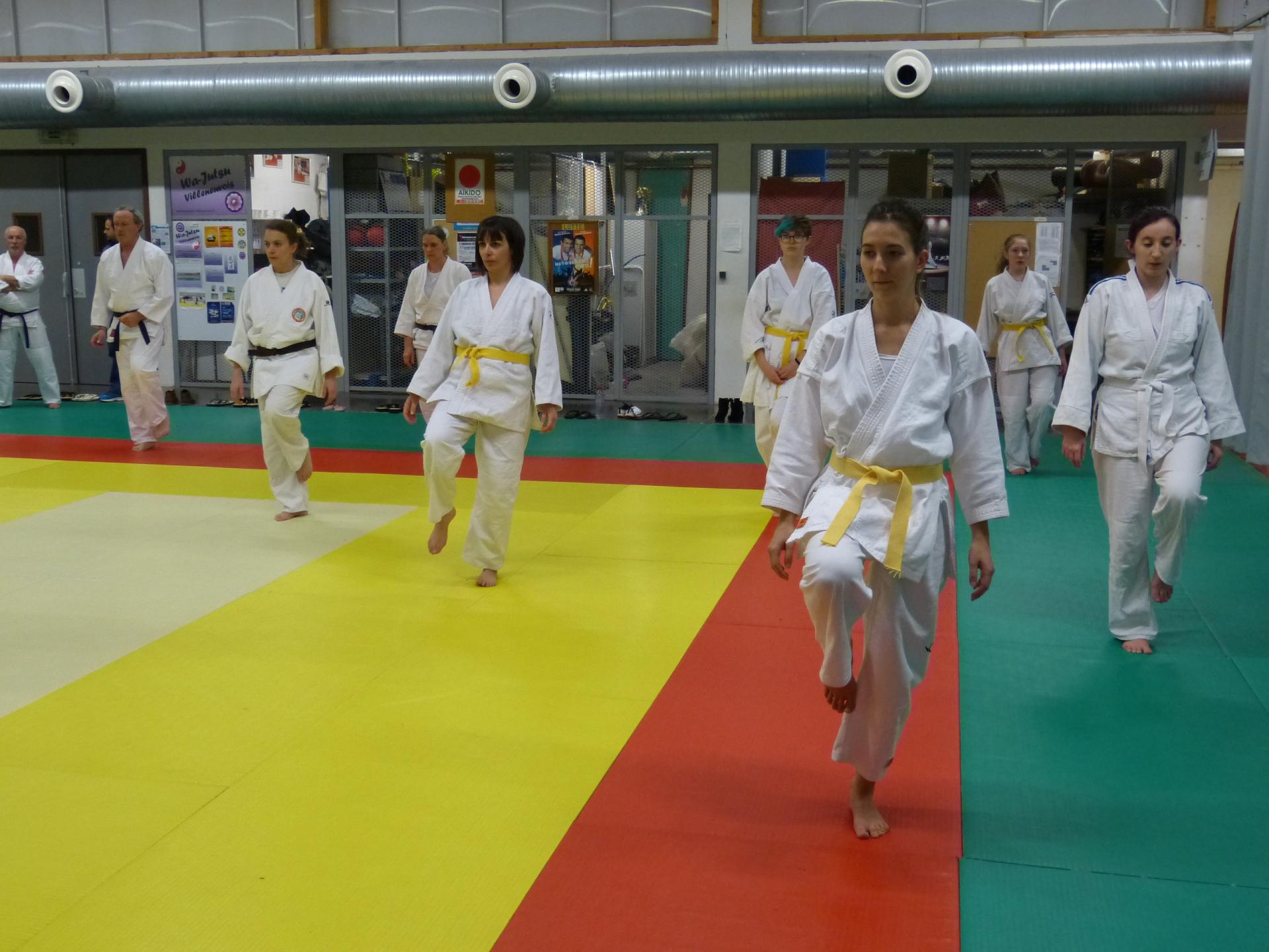 Cours commun Villeneuve-Agen, 13 février 2019 dojo Wa-Jutsu Villeneuvois