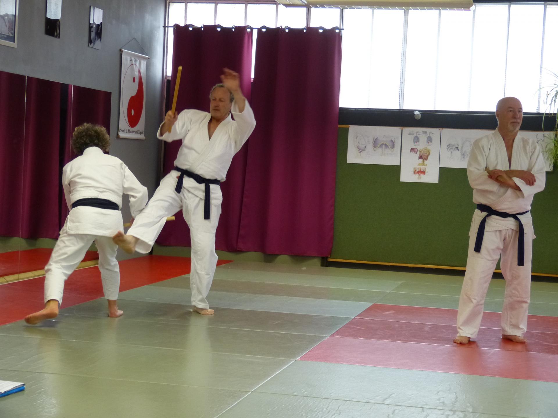 Week-end préparation examens gradés dojo Wa-Jutsu Agen mars 2019