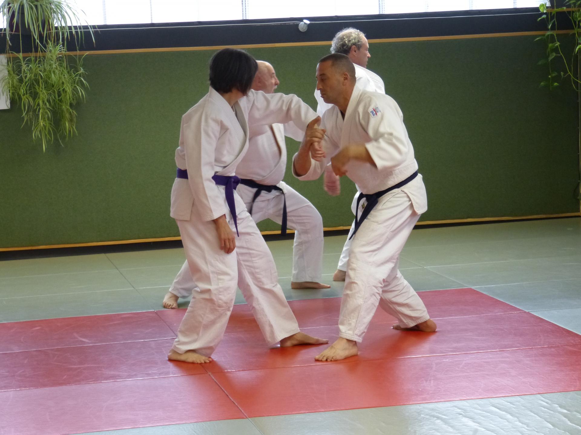 Week-end préparation examens gradés dojo Wa-Jutsu Agen mars 2019