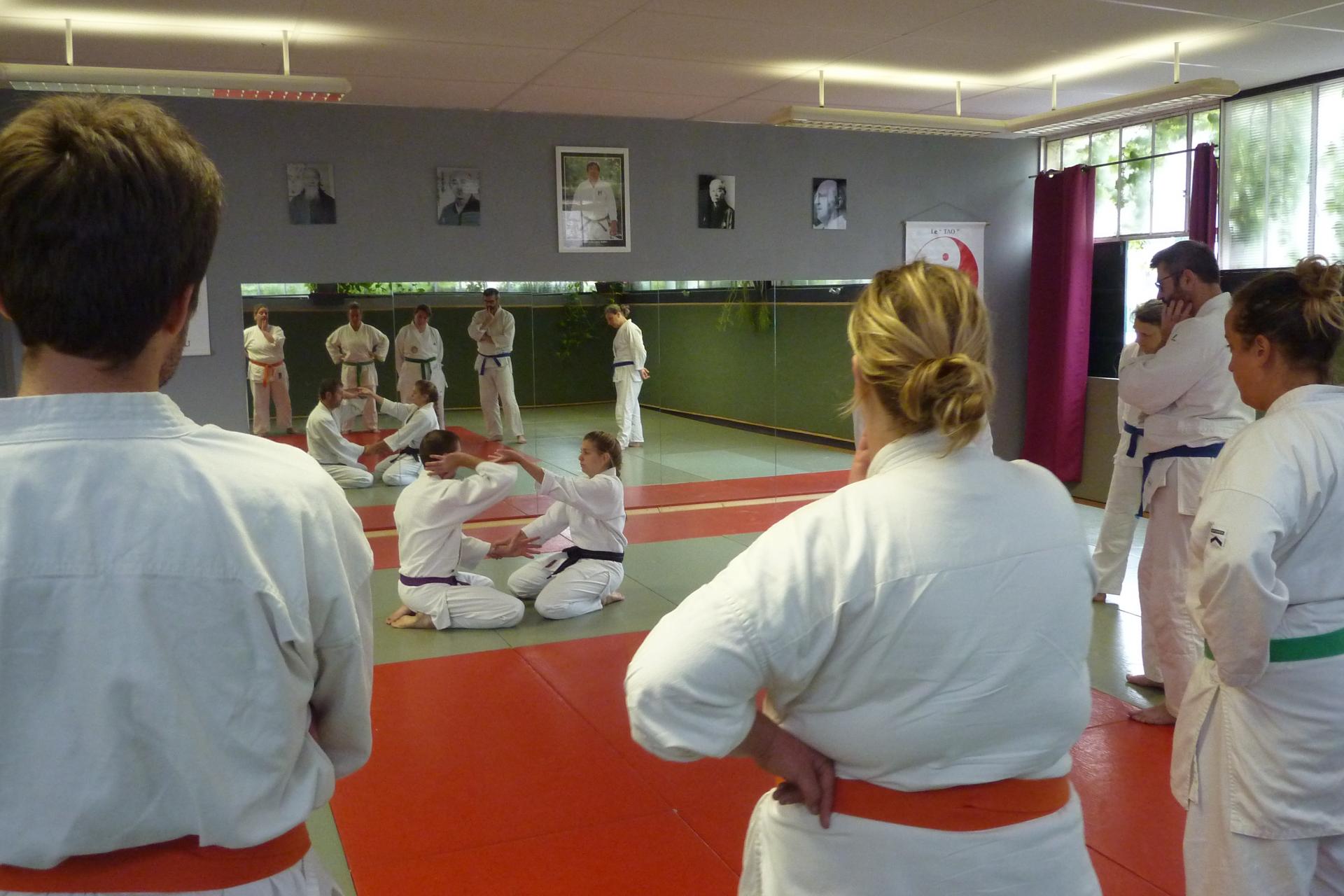 Cours commun Agen-Villeneuve Wa-Jutsu Agenais 16 juin 2018