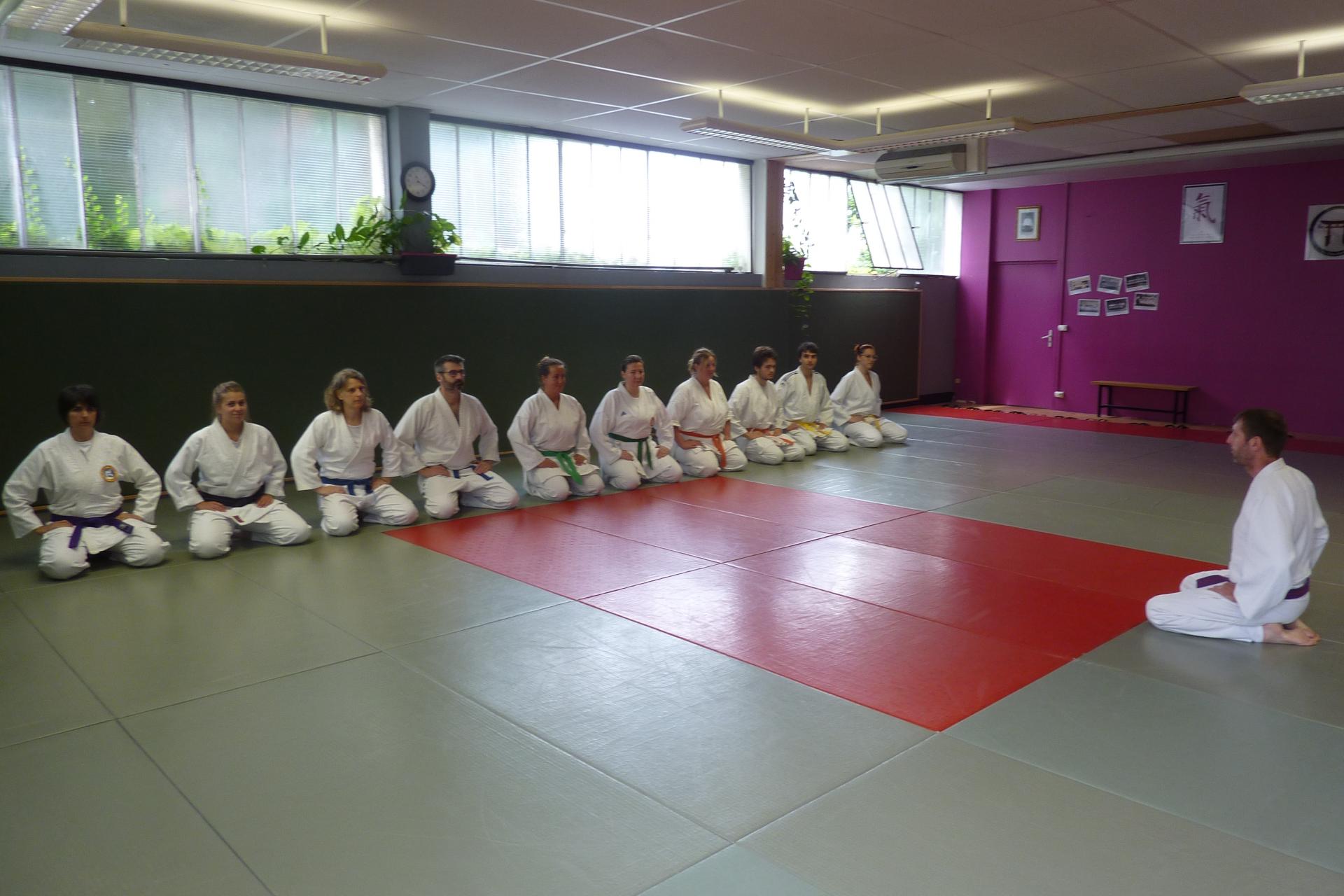 Cours commun Agen-villeneuve Wa-Jutsu Agenais 16 juin 2018