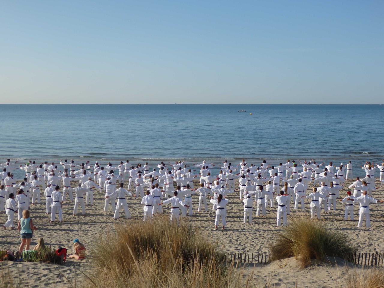 Stage été, août 2014