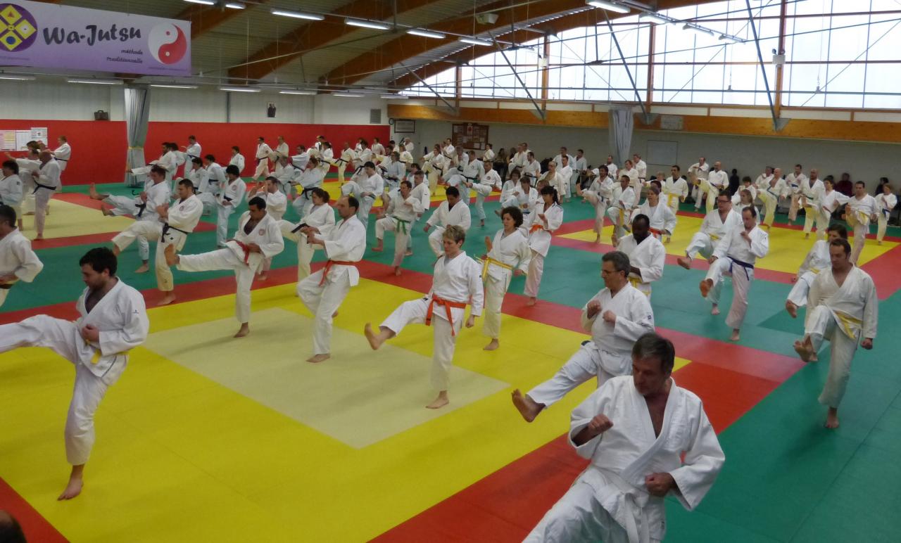 Entraînement  convivial (clubs Aquitaine) dojo Villeneuve sur lot, avril  2014